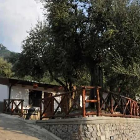 Vacanze Dalisa Castagno Con Parcheggio Apartment *