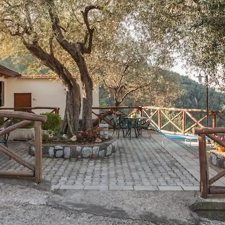 Apartment Vacanze Dalisa Castagno Con Parcheggio